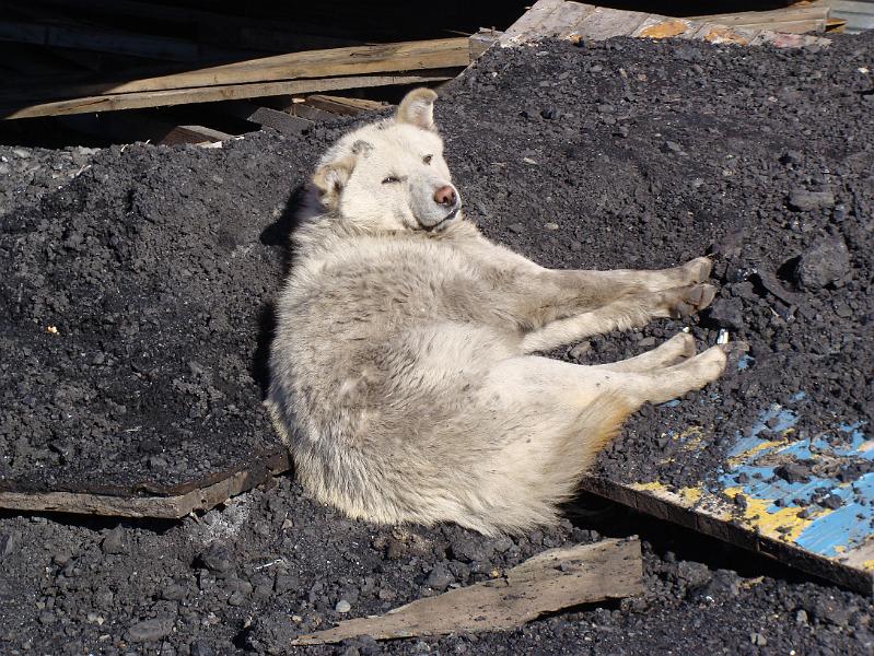 Siberia 095.jpg